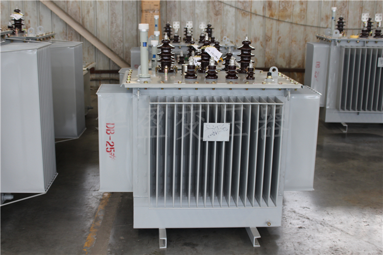 松原S20-800kVA/10kV/0.4kV变压器